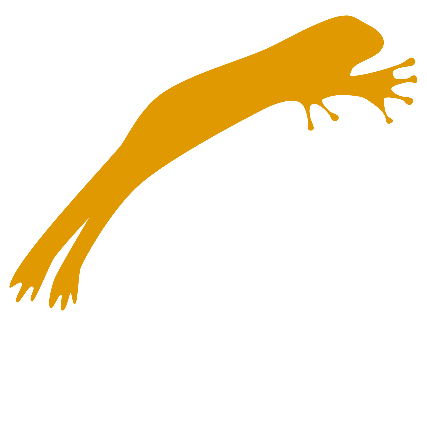 Frogleap AI